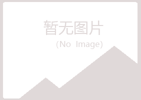 伊春南岔夏青机械有限公司